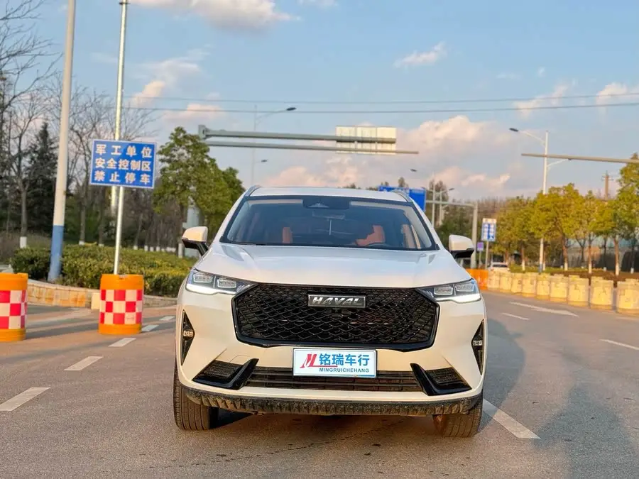 Haval H6 2021 Model Third Generation 2.0T Automatic Four-Wheel Drive Max
