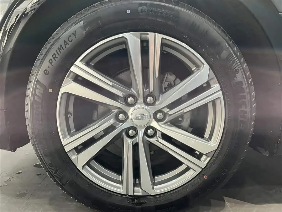 IQ Ruiteng 2022 Rear-wheel Drive Long Range Premium Version