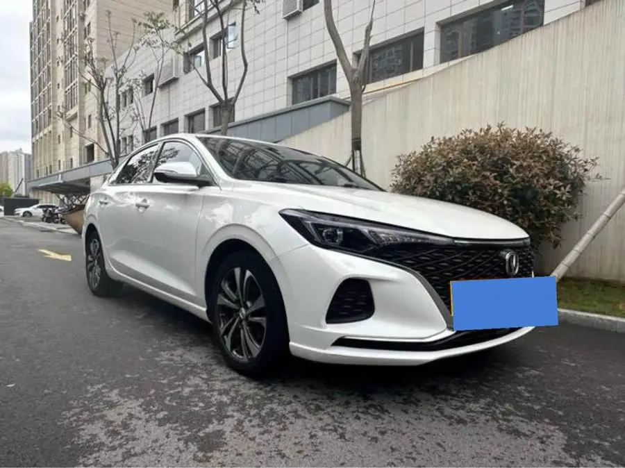 Yidong 2020 Plus Blue Whale NE 1.4T GDI DCT Fengshang Edition
