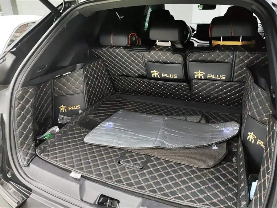 Song PLUS 2020 1.5T Automatic Premium