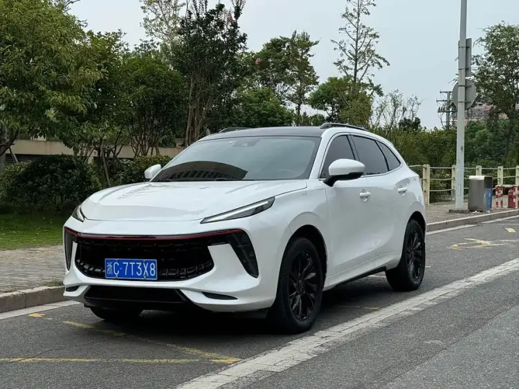 Wind Link T5 EVO 2021 1.5TD DCT Glory Edition