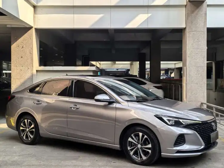 Yidong 2020 Plus Blue Whale NE 1.4T GDI DCT Premium