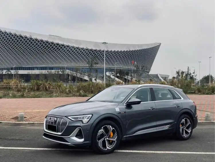 Audi e-tron 2021 50 quattro premium