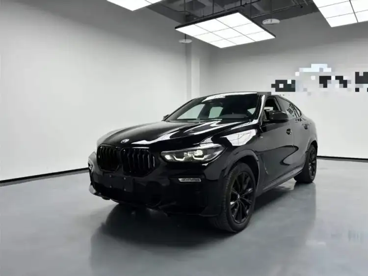 BMW X6 2021 xDrive30i M Sport Package