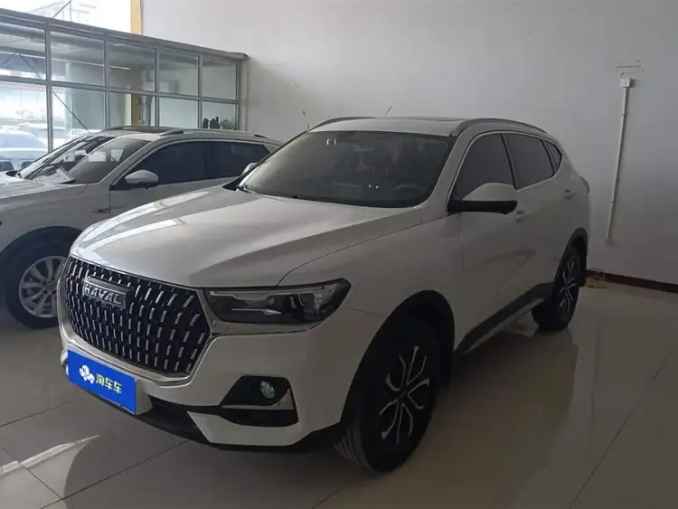 Haval H6 2023 National Trend Edition 1.5T Automatic Urban Version
