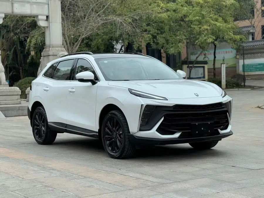 Fengxing T5 EVO 2024 Crazy Edition 1.5TD DCT Maher Diamond Version