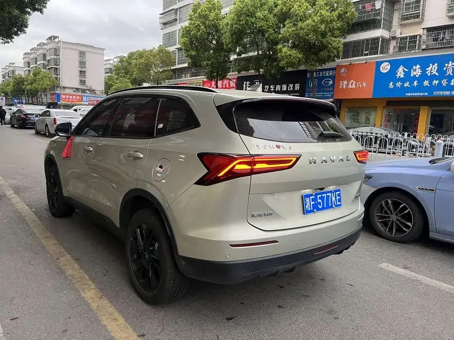 Haval H6 2024 1.5T Two-Wheel Drive Max