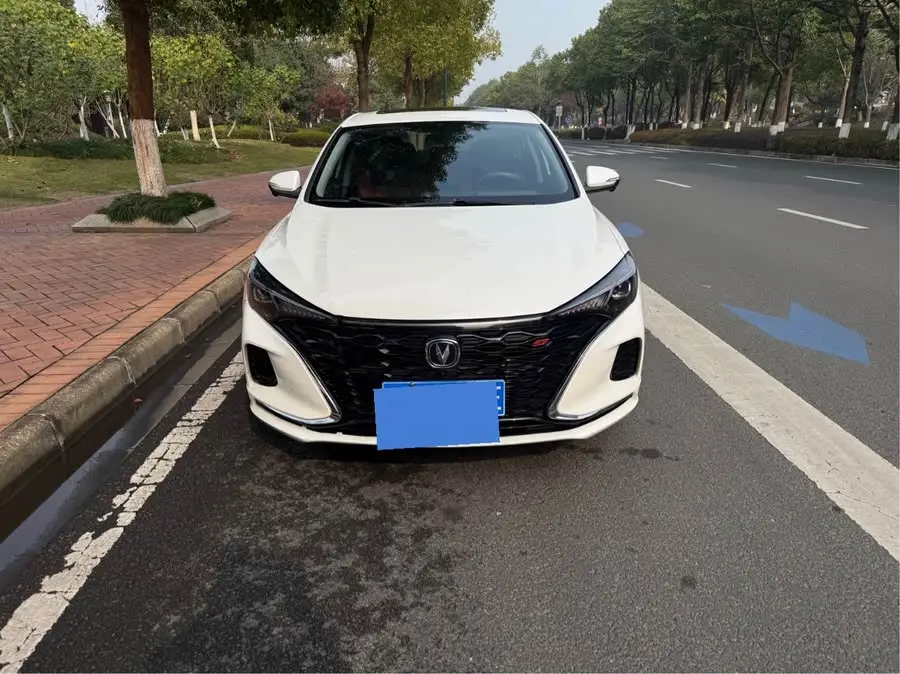 Yidong 2021 Plus Blue Whale NE 1.4T GDI DCT Premium Edition