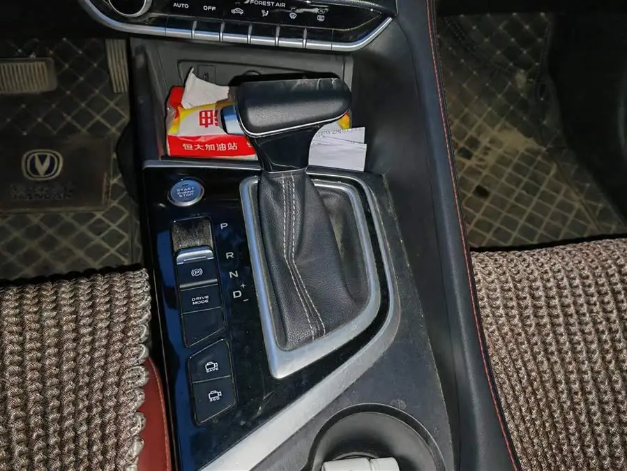 Yidong 2021 PLUS Blue Whale NE 1.4T GDI DCT Premium Model