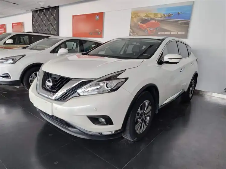 Luo Lan 2019 Model 2.5L XL Two-Wheel Drive Intelligent Luxury Version National VI