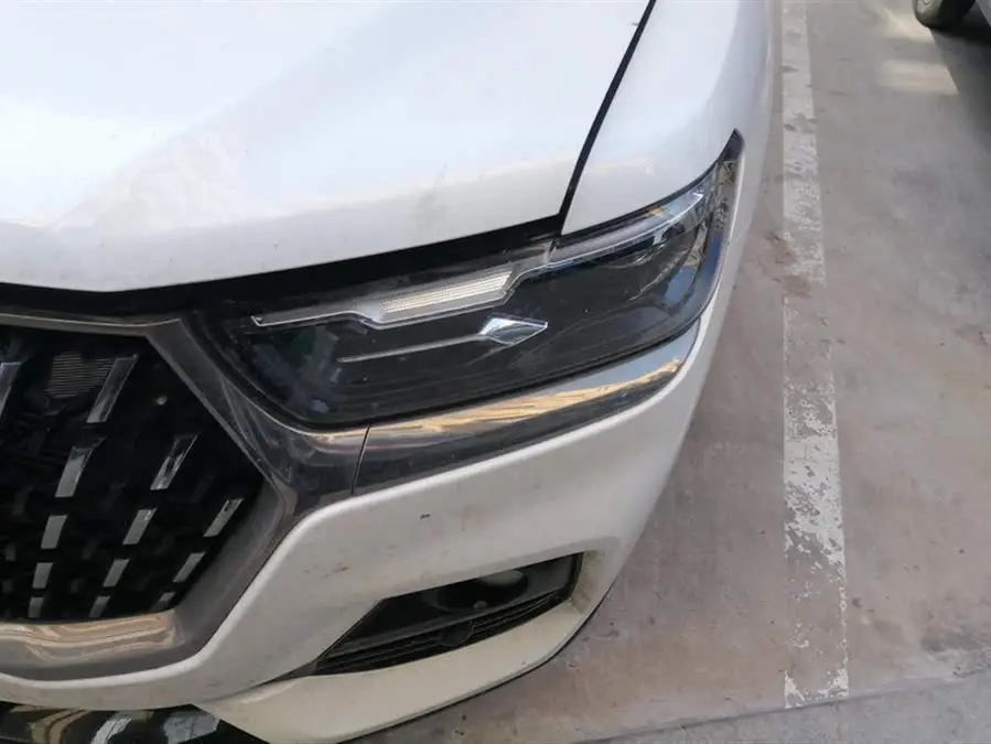 هافال H6 2023 إصدار الاتجاه الوطني 1.5T أوتوماتيكي بطل