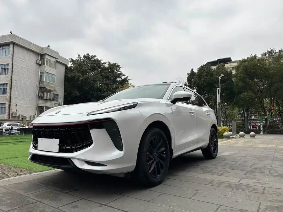Fengxing T5 EVO 2021 1.5TD DCT Diamond Edition