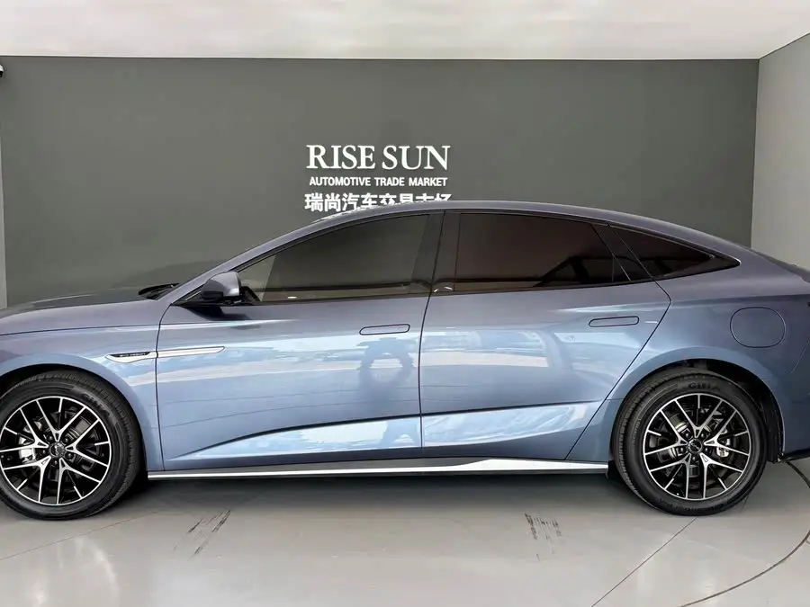 سمكة الفقمة 2023 DM-i 1.5T 121 كم الطراز الرائد