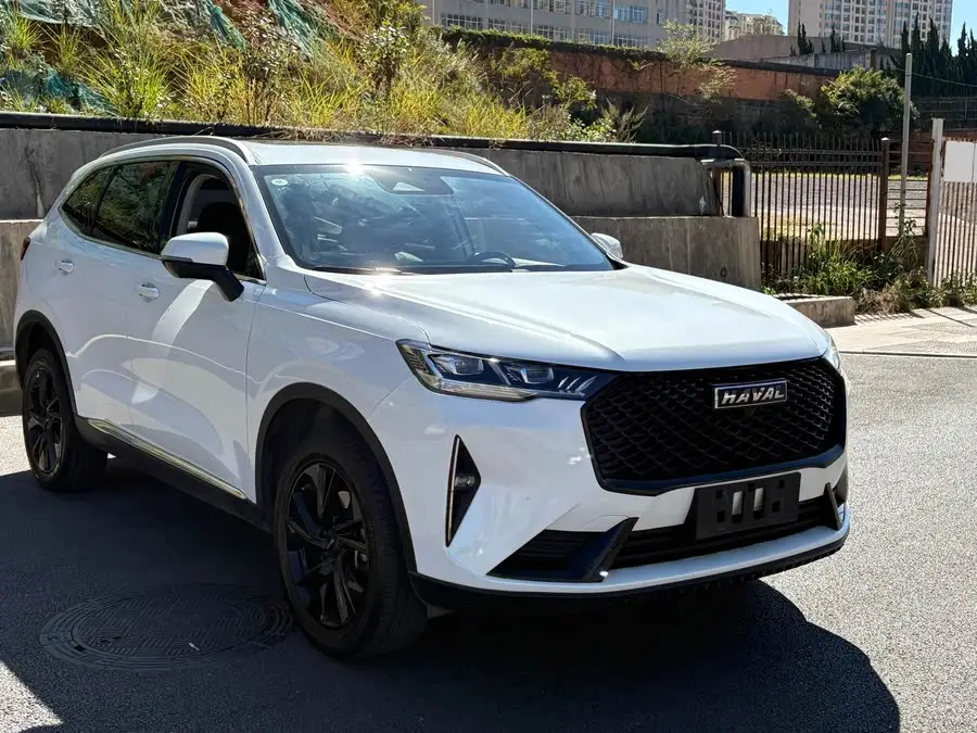 Haval H6 2021 Model Third Generation 2.0T Automatic Two-Wheel Drive Max