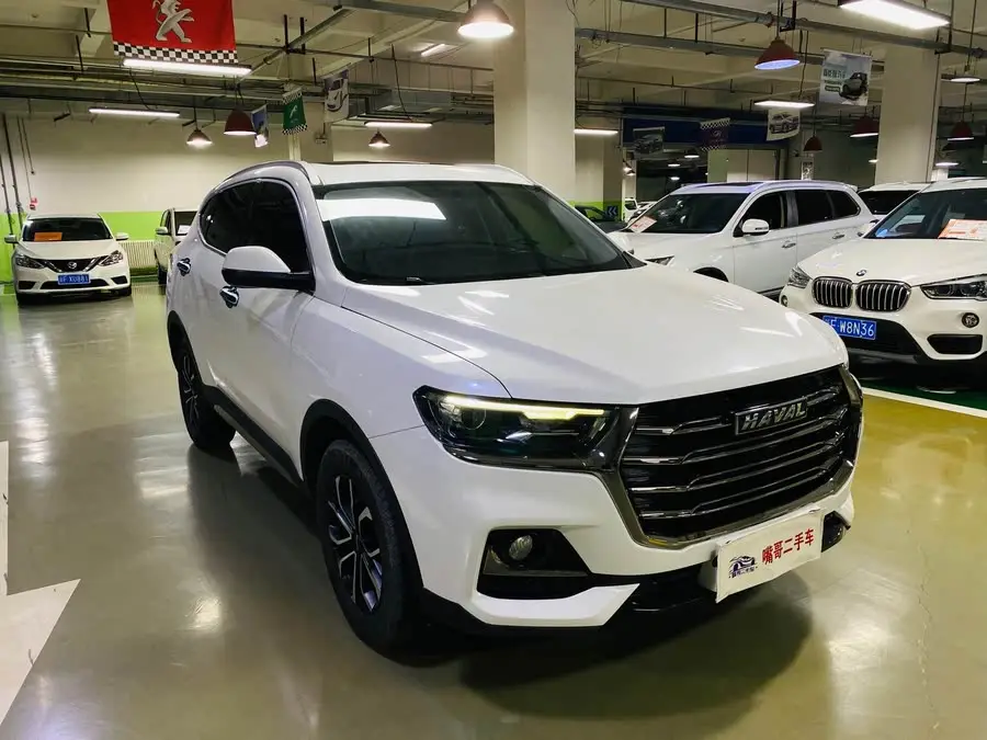 Haval H6 2021 National Trend Edition 1.5T Automatic Urban Version