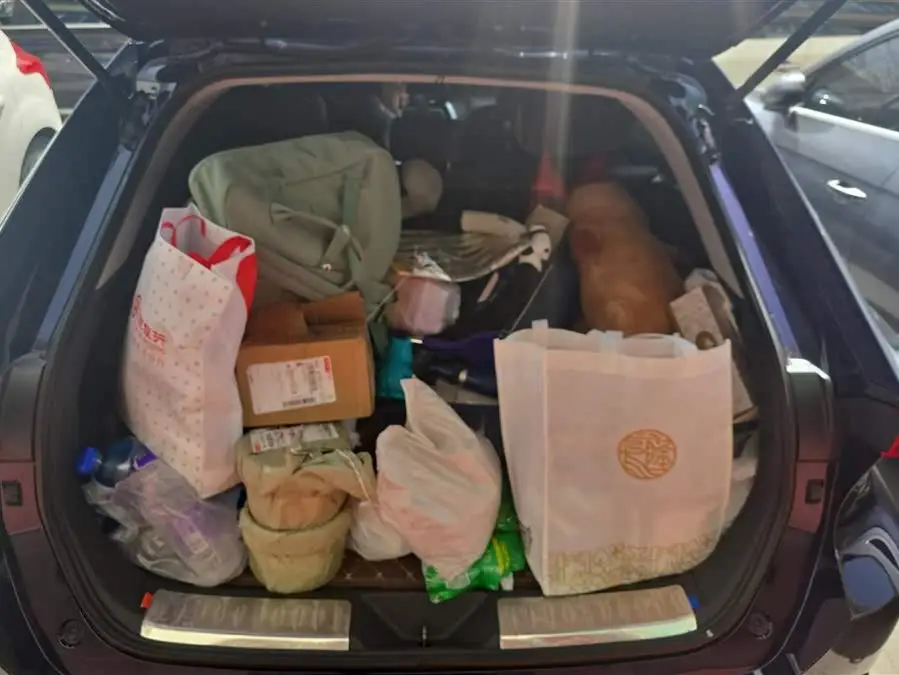 لينغفانغ هارير 2022 نسخة محرك مزدوج 2.5L CVT دفع رباعي فاخرة