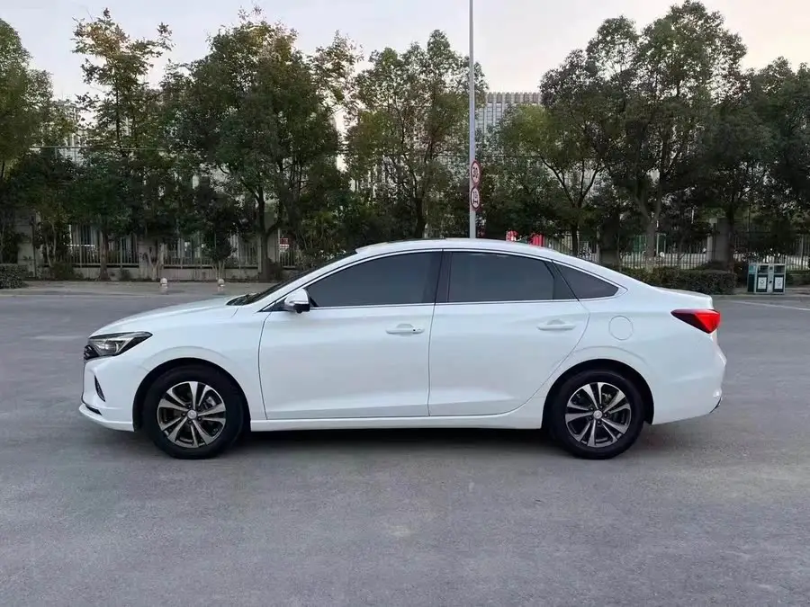 Yidong 2020 Plus Blue Whale NE 1.4T GDI DCT Premium