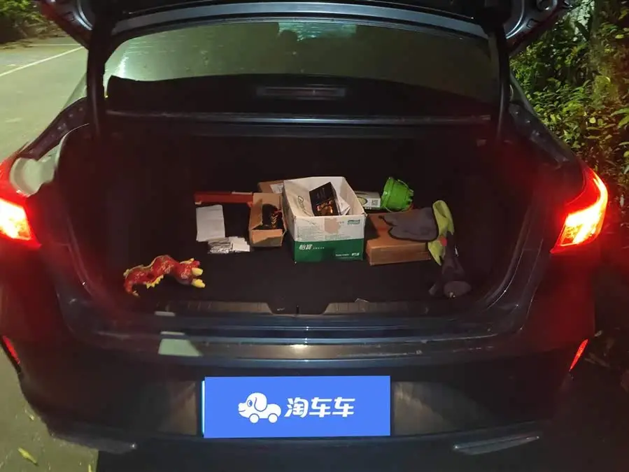 2022 Yidong PLUS Blue Whale NE 1.4T GDI DCT Premium Version