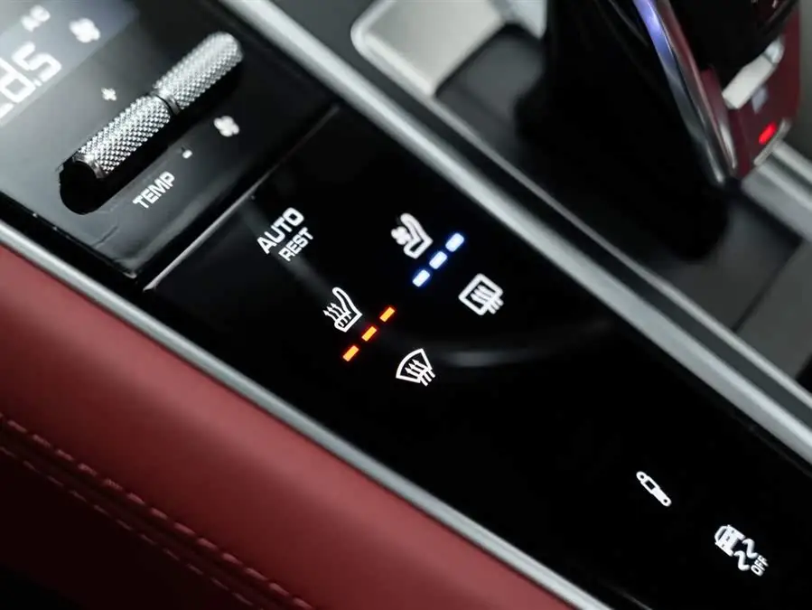 2023 Panamera Facelift Panamera 2.9T Platinum Edition