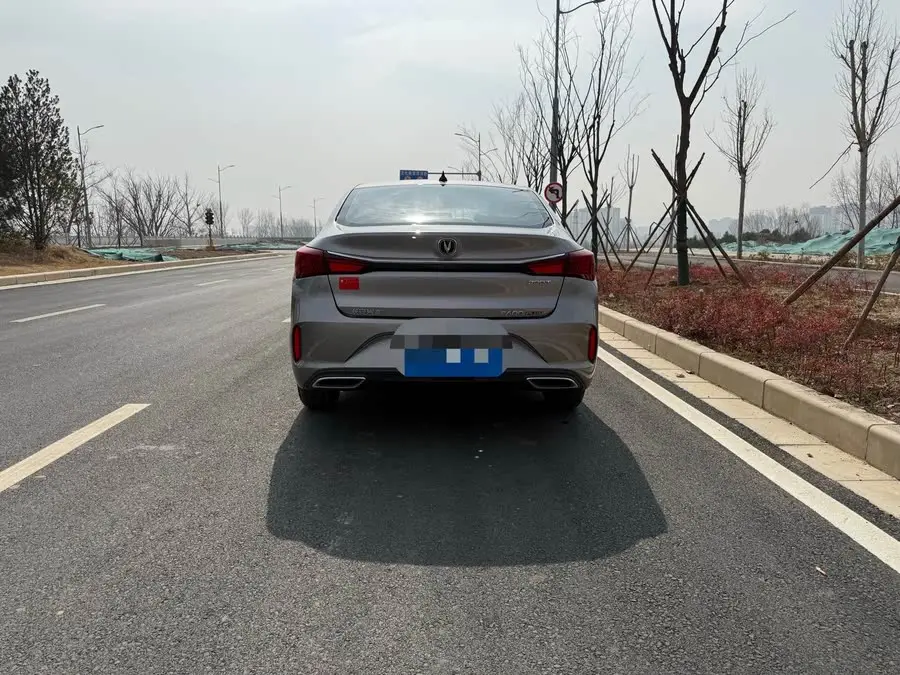 Yidong 2020 Plus Blue Whale NE 1.4T GDI DCT Premium