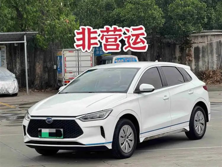 BYD e2 2020 Upgrade Standard Range Comfort Version