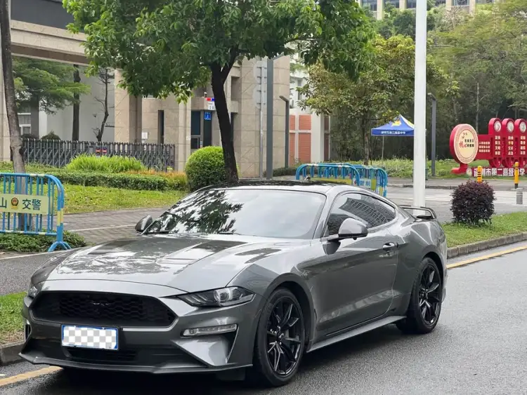 2021 Mustang 2.3T EcoBoost Black Shadow Special Edition