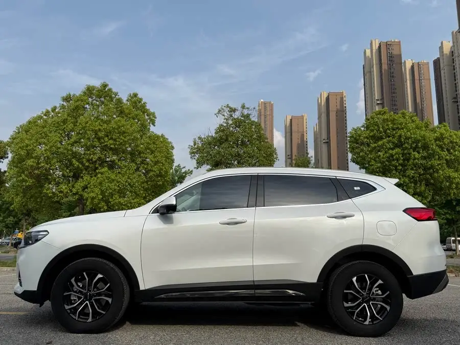 Haval H6 2023 National Trend Edition 1.5T Automatic Champion