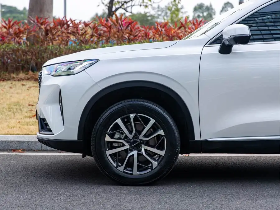 Haval H6 2021 Model Third Generation 1.5T Automatic Two-Wheel Drive Pro