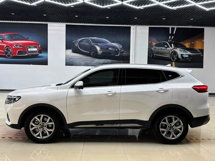 Haval H6 2021 National Trend Edition 1.5T Automatic Champion Version