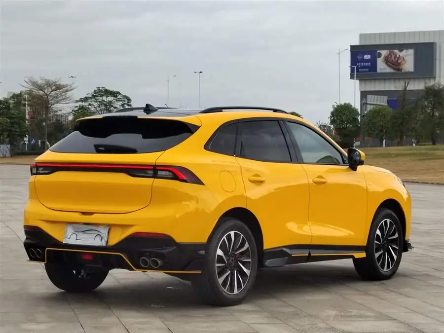 Fengxing T5 EVO 2021 1.5TD DCT Star Edition Heatwave