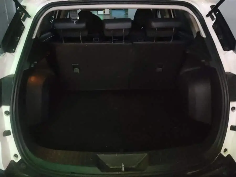 2020 Ling Jie Ling Jie S EcoBoost 145 CVT Platinum Edition