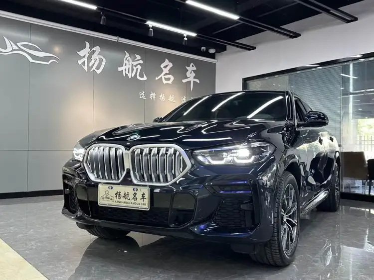 BMW X6 2021 xDrive30i M Sport Package