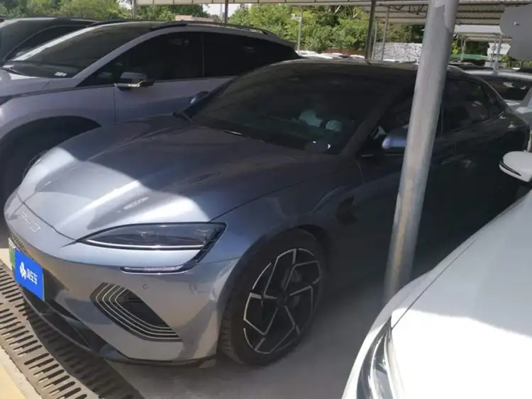 Sealion 2022 Model 700km Long Range Rear-Wheel Drive Version