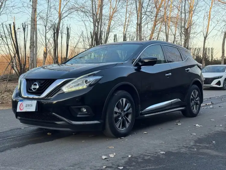 Loulan 2021 2.5L XL Two-Wheel Drive Intelligent Luxury Version