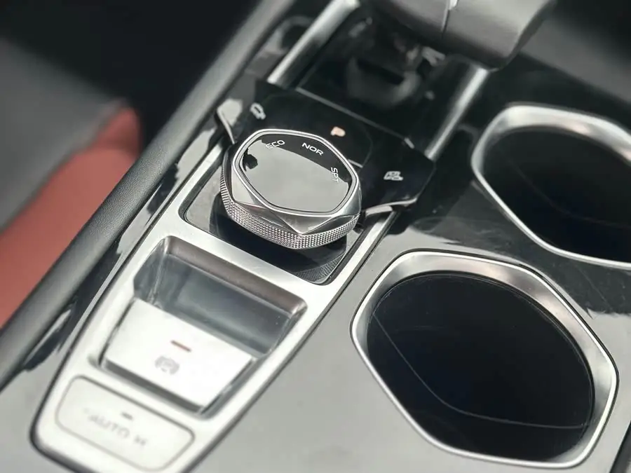 Yidong 2022 Plus Blue Whale NE 1.4T GDI DCT Premium Edition