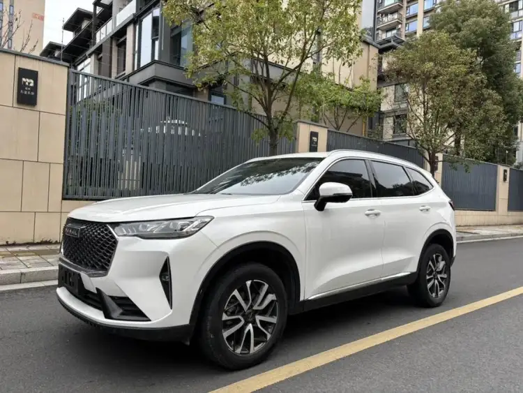 Haval H6 2021 Model Third Generation 1.5T Automatic Two-Wheel Drive Supreme