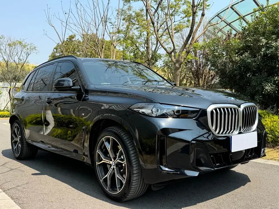 بي إم دبليو X5 2023 xDrive 30Li الفاخرة حزمة M الرياضية الليلية