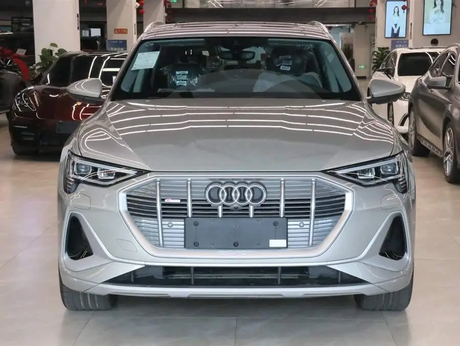 Audi e-tron 2021 50 quattro Selection