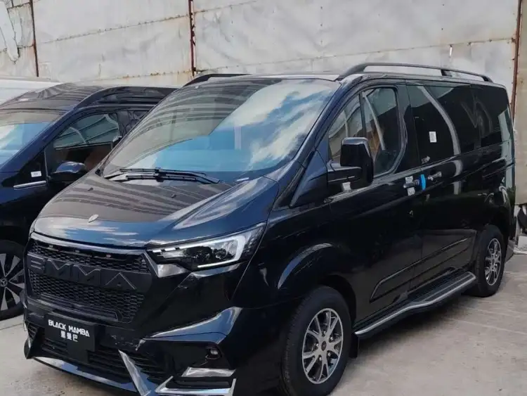 Tourneo 2024 2.0T Automatic Ultimate Plus