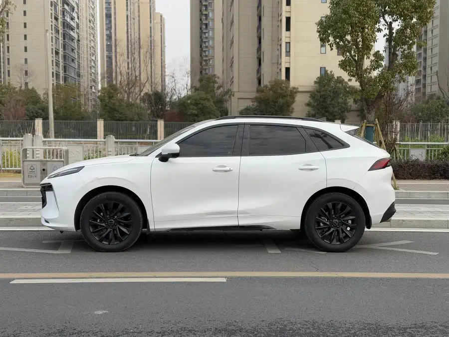 Fengxing T5 EVO 2021 1.5TD DCT Star Edition