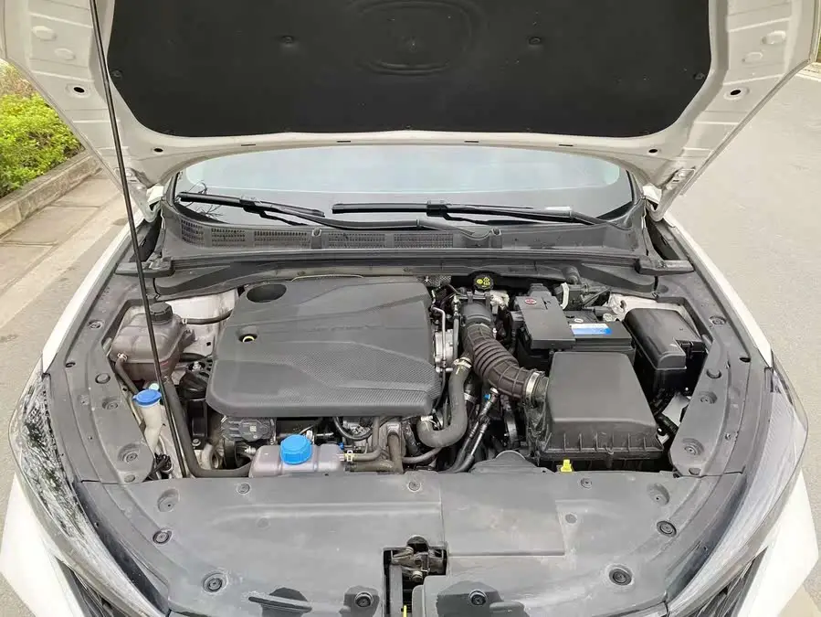 Yidong 2022 Plus Blue Whale NE 1.4T GDI DCT Flagship Edition