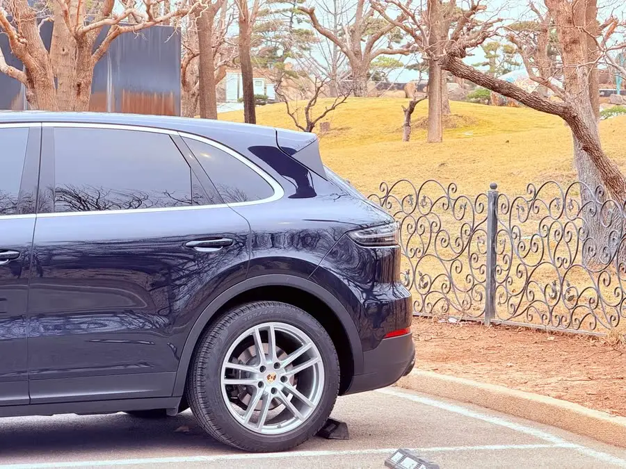 2022 Cayenne 3.0T Platinum Edition