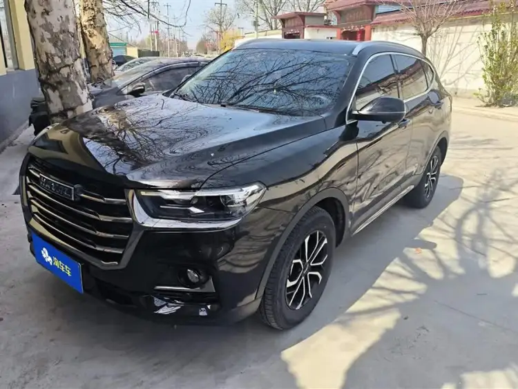 Haval H6 2021 National Trend Edition 1.5T Automatic Urban Version