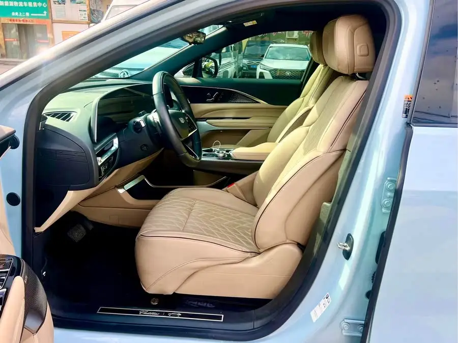 IQ Rigo 2022 Rear-wheel Drive Long Range Premium Version