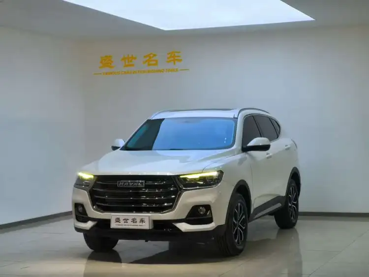 Haval H6 2021 National Trend Edition 1.5T Automatic Urban Version