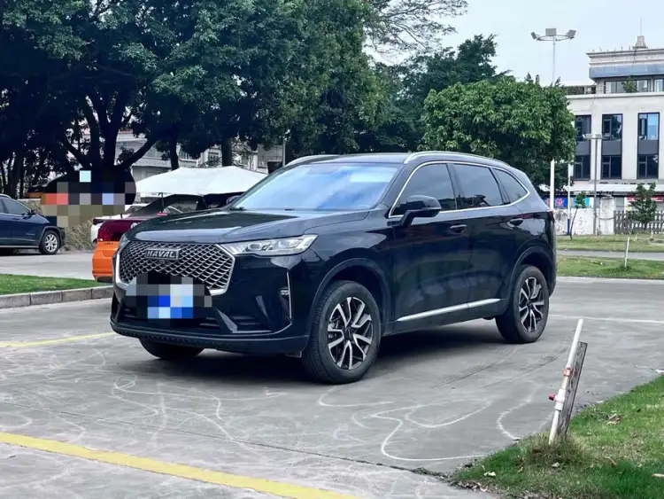 Haval H6 2021 Model Third Generation 1.5T Automatic Two-Wheel Drive Pro