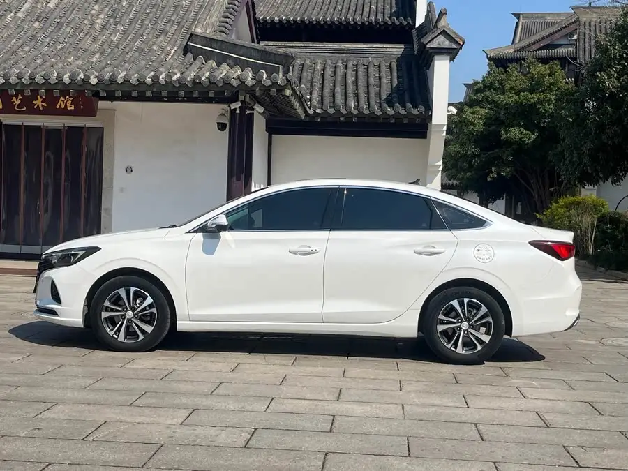 Yidong 2022 Plus Blue Whale NE 1.4T GDI DCT Premium Edition