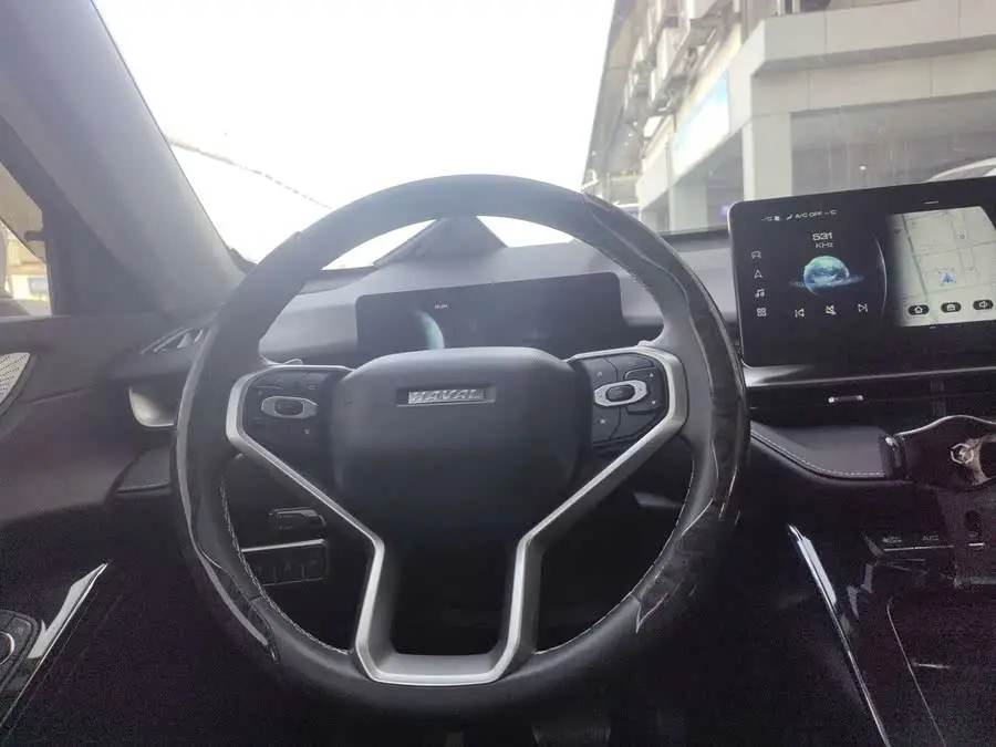 Haval H6 2022 Model Third Generation 1.5T Automatic Two-Wheel Drive Pro