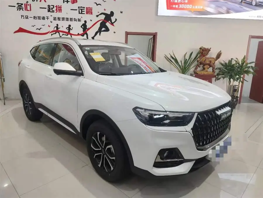 Haval H6 2023 National Trend Edition 1.5T Automatic Champion Version