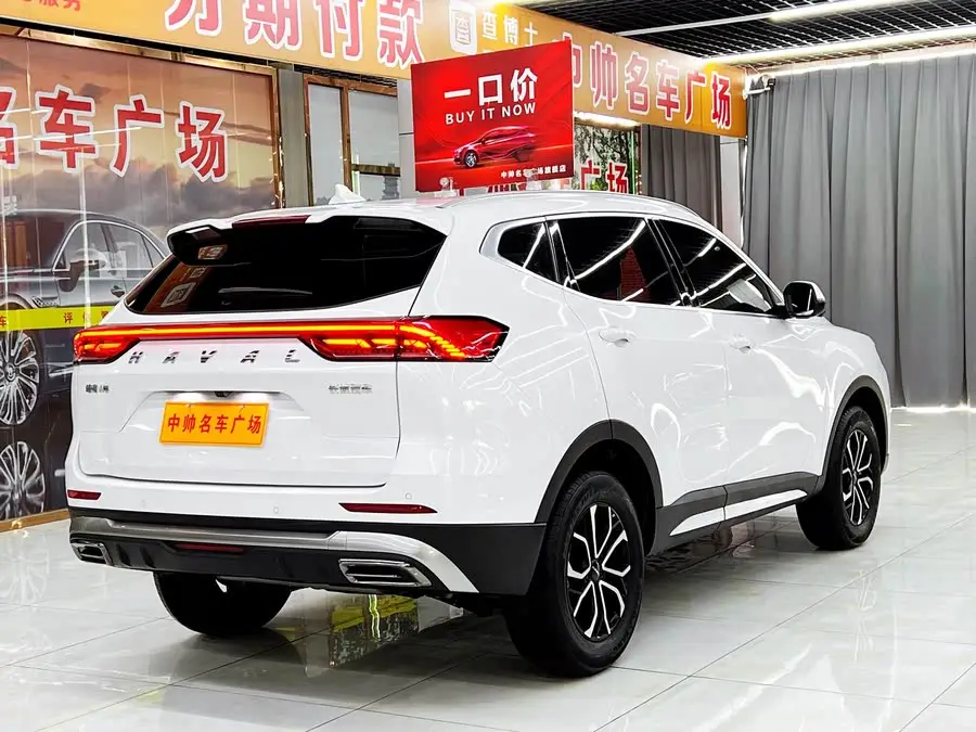 Haval H6 2023 National Trend Edition 1.5T Automatic Urban Version